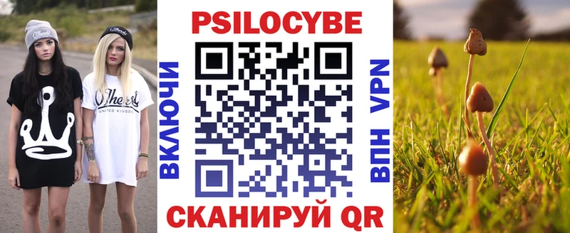 Псилоцибиновые грибы Cubensis  Сухой Лог 