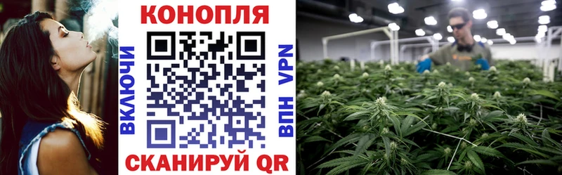 Конопля White Widow  Сухой Лог 